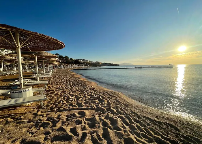 Hotel Elisir & At Sheikh Coast