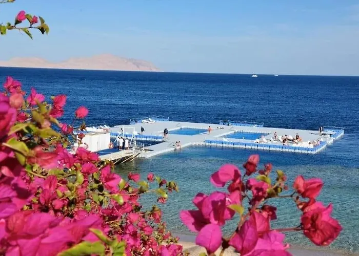 Hotel Elisir & At Sheikh Coast