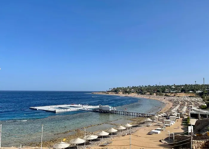 Elisir & At Sheikh Coast Hotel 5*