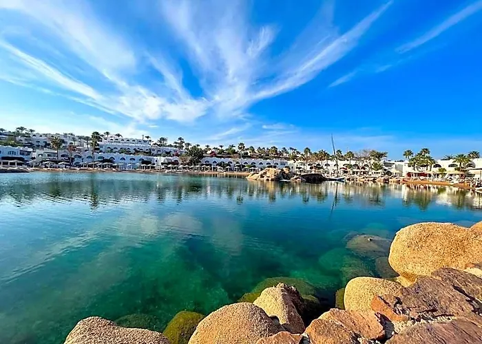 Elisir & At Sheikh Coast